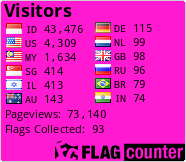 Flag Counter