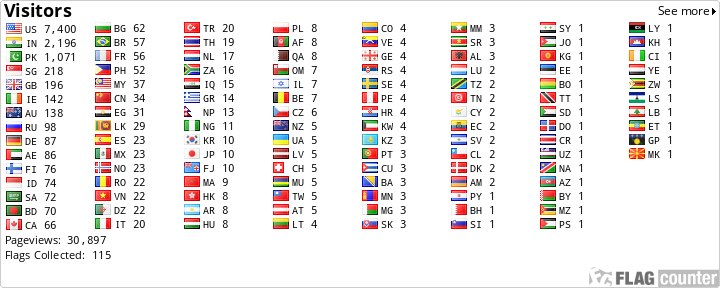 Flag Counter