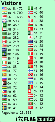 Flag Counter