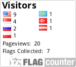 Flag Counter