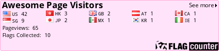 Flag Counter