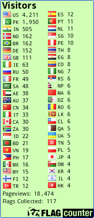 Flag Counter