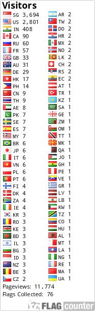 Flag Counter
