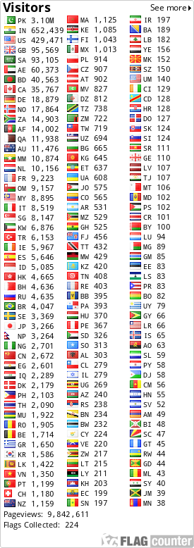 Flag Counter