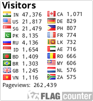 Flag Counter