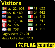 Flag Counter