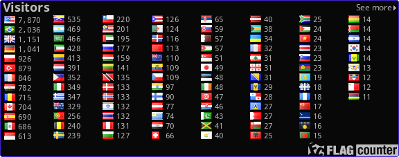 Flag Counter