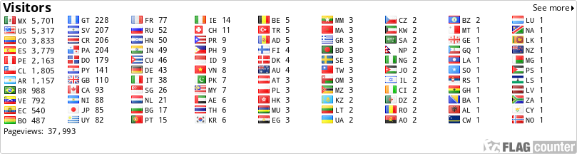 Flag Counter