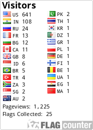 Flag Counter