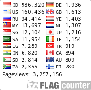 Flag Counter