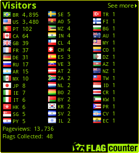 Flag Counter