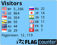 Flag Counter
