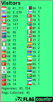 Flag Counter