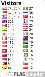 Flag Counter