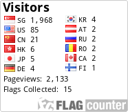 Flag Counter