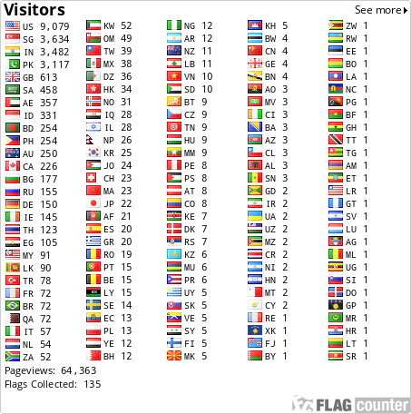 Flag Counter