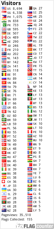 Flag Counter