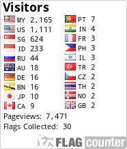 Flag Counter