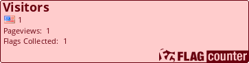 Flag Counter