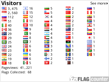 Flag Counter