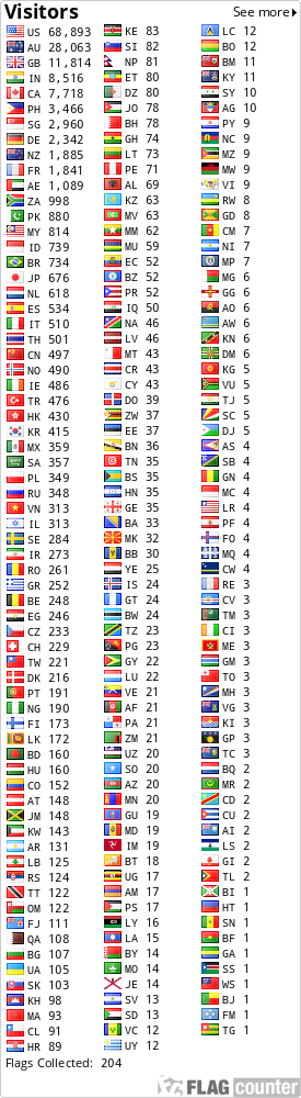 Flag Counter