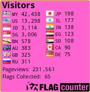 Flag Counter