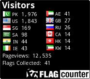 Flag Counter