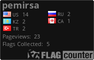 Flag Counter