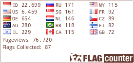 Flag Counter