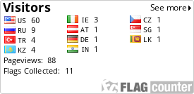 Flag Counter