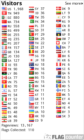 Flag Counter