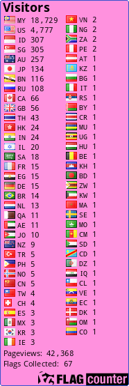 Flag Counter