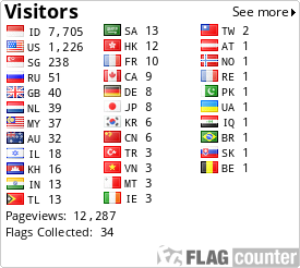 Flag Counter
