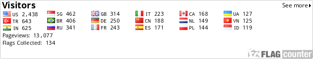 Flag Counter