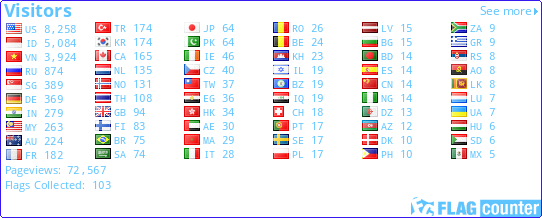Flag Counter