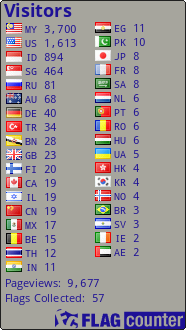 Flag Counter