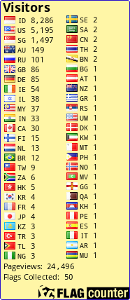 Flag Counter
