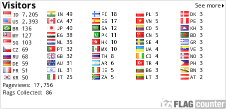 Flag Counter