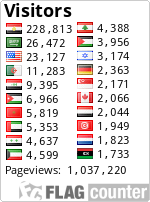 دخول Pageviews=1