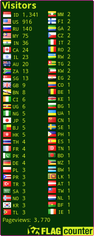 Flag Counter