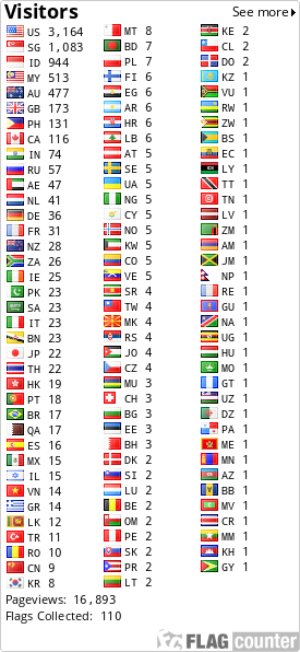 Flag Counter