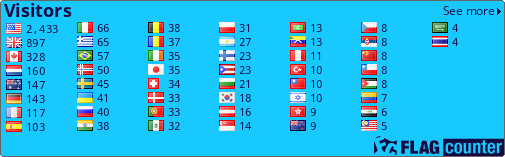 Flag Counter