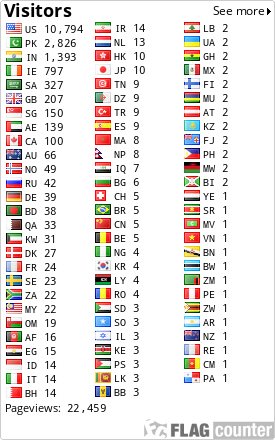Flag Counter