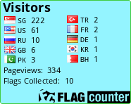 Flag Counter