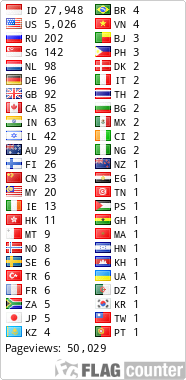 Flag Counter