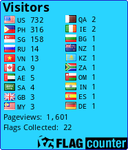 Flag Counter