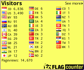 Flag Counter