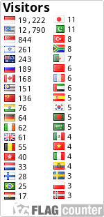 Flag Counter