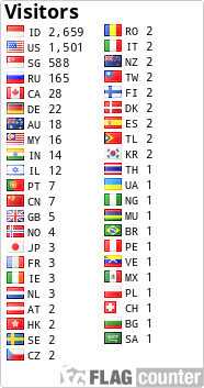 flag counters