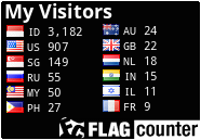Flag Counter